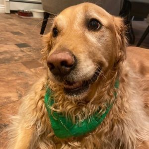 Meet your Posher, Emma